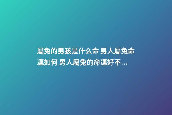 屬兔的男孩是什么命 男人屬兔命運如何 男人屬兔的命運好不好-第1張-觀點-玄機派